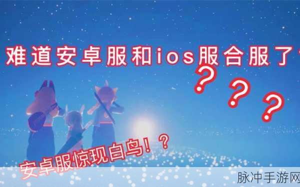 光遇退款申请全攻略，苹果 iOS 与安卓详细步骤