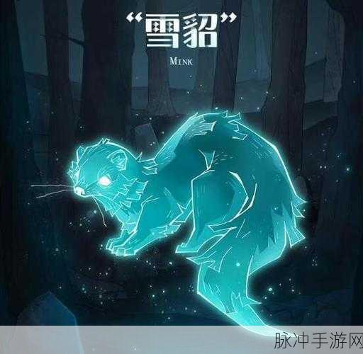 哈利波特手游，获取狐狸守护神的终极秘籍