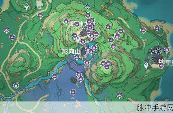 原神绯樱绣球采集全攻略，最佳路线图与详细指南