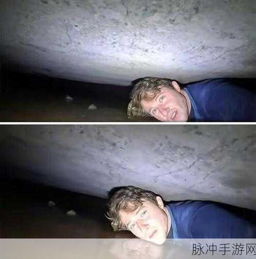 诡异伪人入侵，解锁紧张刺激解谜新体验的游戏攻略