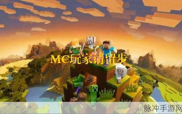 探索无限可能，我的世界采矿无限修改版深度攻略与体验分享