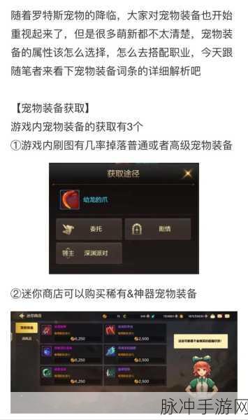 DNF 手游宠物获取指南，商城售卖与其他途径全解析