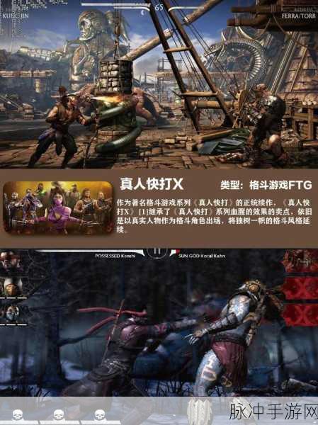 我功夫贼溜无敌版下载，畅享可玩性超高的动作格斗盛宴