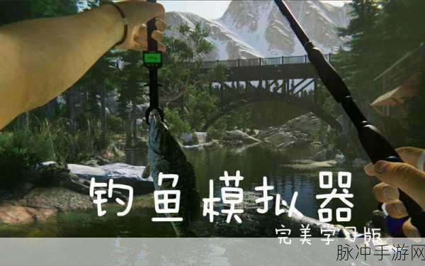 终极钓鱼模拟器，钓鱼爱好者的掌上乐园