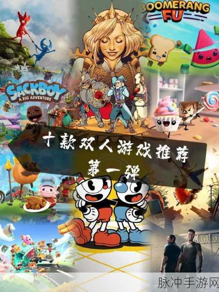双人游戏合集无广告版下载，尽享趣味休闲对战乐趣