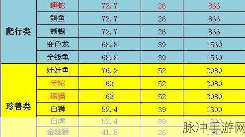炉石传说治疗石运用秘籍，价值最大化攻略