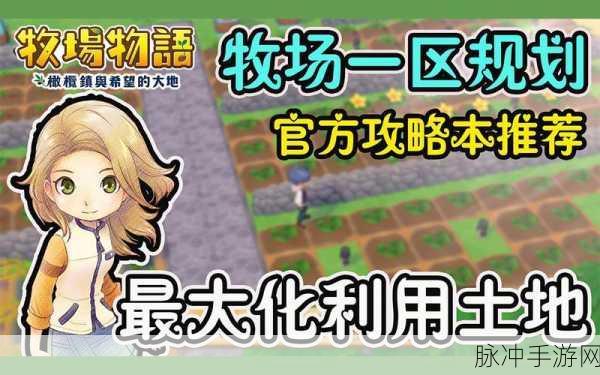 炉石传说治疗石运用秘籍，价值最大化攻略