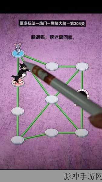 智能大脑游戏与逻辑谜题手游，解锁休闲益智闯关新体验