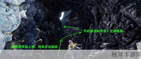 怪物猎人世界手游，重型BowGuns的奥秘全解