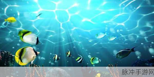 探索梦幻海底世界，Coral Reef下载全攻略