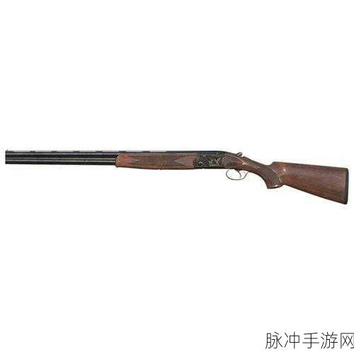 和平精英，DBS 霰弹枪威力深度剖析
