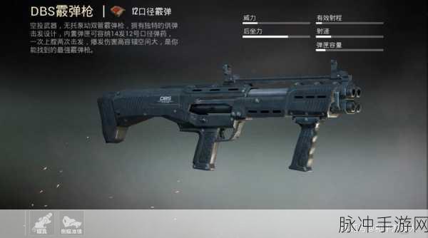 和平精英，DBS 霰弹枪威力深度剖析