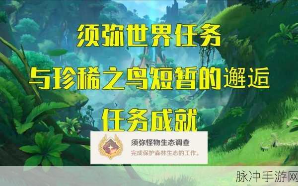 原神珍稀鸟类邂逅任务全攻略