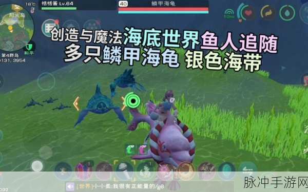 创造与魔法，鳞甲海龟饲料制作全攻略