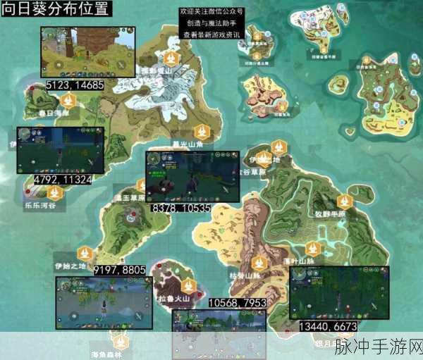 创造与魔法，植物分布全攻略