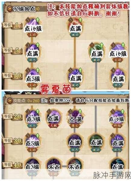 航海王燃烧意志，黄猿加点全方位指南
