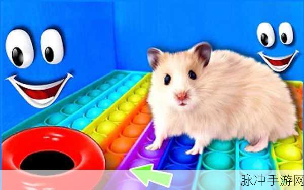 仓鼠迷宫大作战，萌宠探险，智勇双全的手游新体验