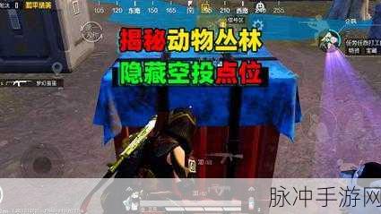 和平精英动物丛林更新时间大揭秘