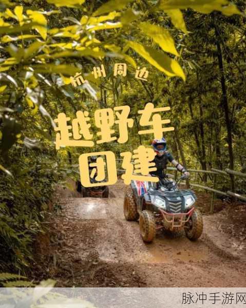 越野，冬季森林官方版深度攻略与体验分享