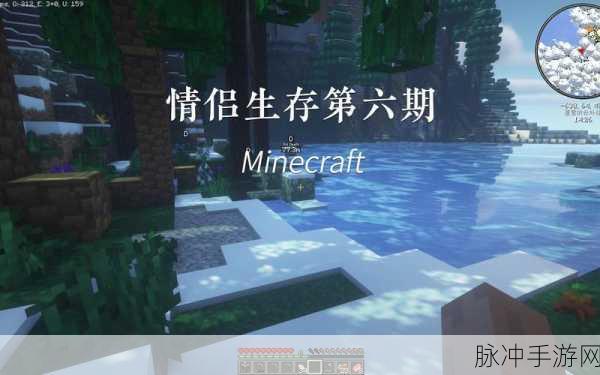 情侣的荒岛生活免广告版下载，探索益智生存的浪漫之旅