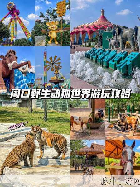 圆滚滚的动物世界，萌趣卡通休闲闯关之旅全攻略