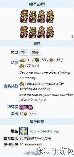泰拉瑞亚甲虫套配饰的绝佳组合攻略