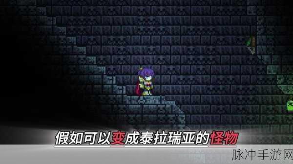 泰拉瑞亚，地牢老人诅咒失效之谜与全攻略