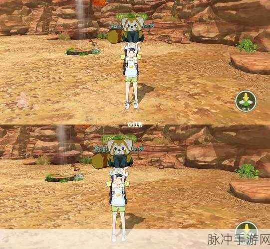 小森生活彩虹羊驼位置全揭秘 助你轻松找到