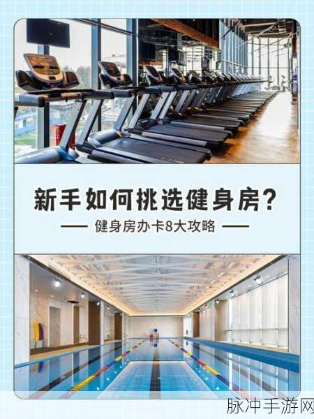健身房之星，打造你的健身帝国游戏下载全攻略