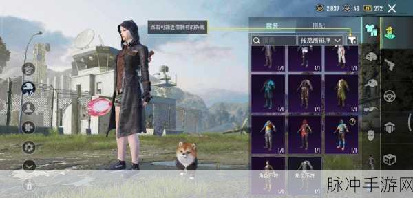 吃鸡国际服下载官方正版，探索画面精致的3D射击手游巅峰