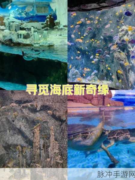 探秘幻想之旅，七个故事中文手机版下载全攻略