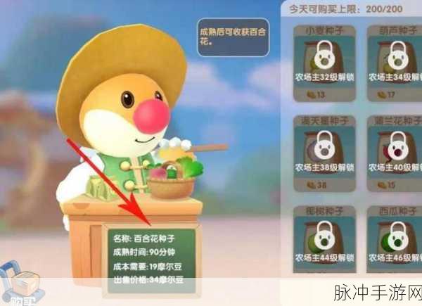 摩尔庄园手游，百合花收集秘籍 探寻最多位置
