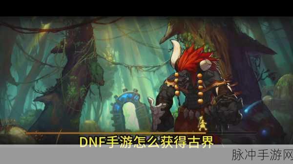 DNF 并非歌星，而是震撼手游界的巨作