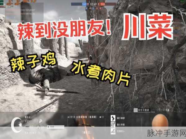 自己人别开枪游戏下载，畅享非凡敏捷射击之旅