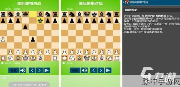 深度解析，野蛮战卒中文版国际象棋策略手游全攻略