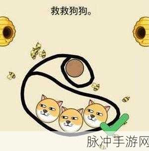 拯救狗狗不被蜜蜂蜇,趣味休闲闯关游戏全攻略