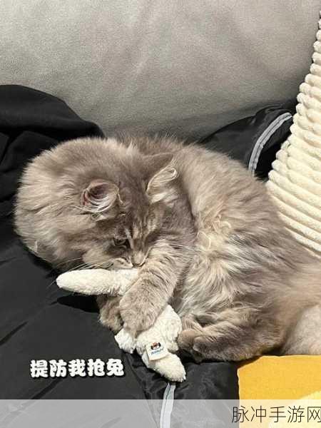 猫见食品摊Cat SeeFood Stall，打造梦幻美食街的模拟经营之旅