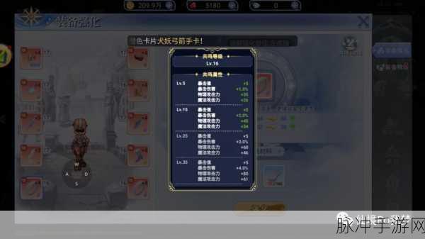仙境传说 RO，复兴 装备秘籍 全面剖析装备系统
