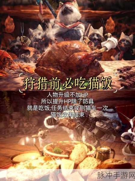 怪物猎人世界，顶级攻略与高分秘籍全解析