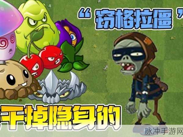 植物大战僵尸，小偷与珊瑚三人组场景炸点全解析