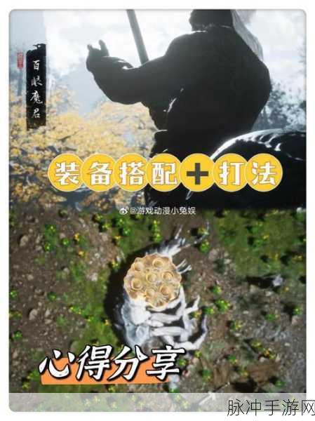 西游梗传，百眼魔君关卡全解析 轻松通关秘籍