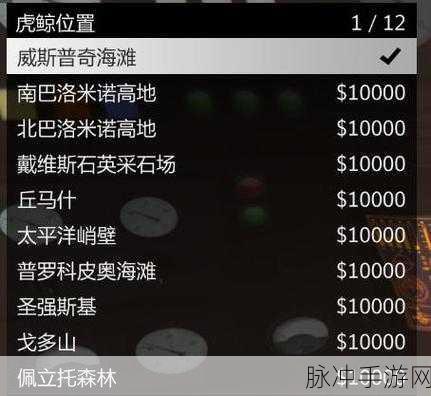 GTA5 手游虎鲸的神秘世界，全方位探索指南