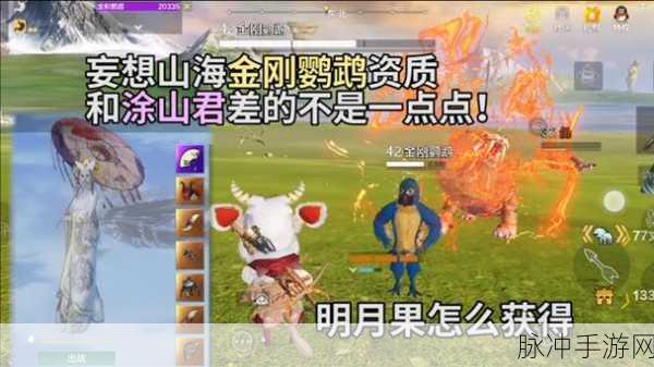 妄想山海中获取金刚鹦鹉招募的全攻略