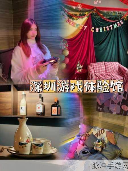 居酒屋达人，沉浸式日系模拟经营游戏体验指南