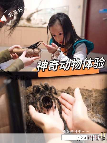 终极美洲狮模拟器，沉浸式动物生存游戏体验指南