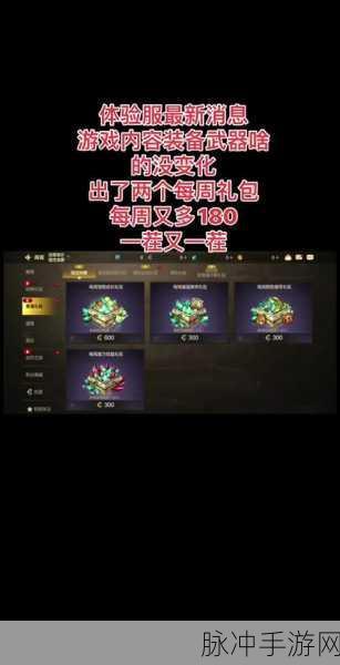 DNF 手游体验服账号的永久性探究