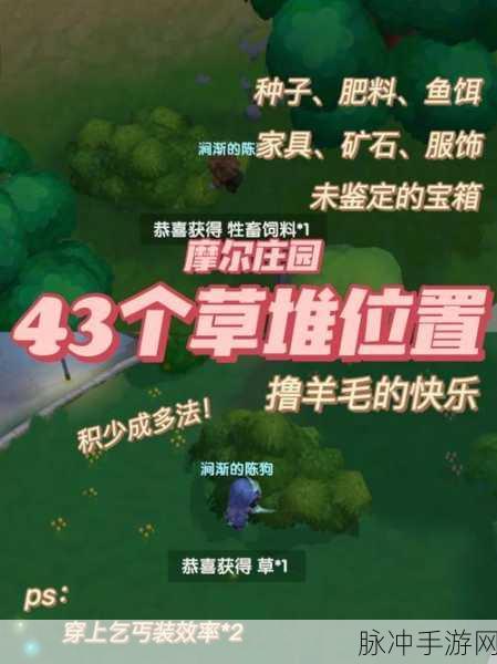 摩尔庄园手游，绿色勇气勋章获取全攻略
