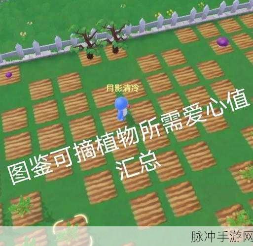 摩尔庄园手游，绿色勇气勋章获取全攻略