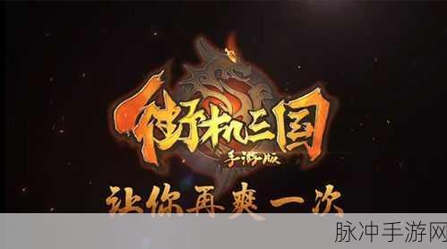 探秘三国天下归心手游，策略与激情的碰撞