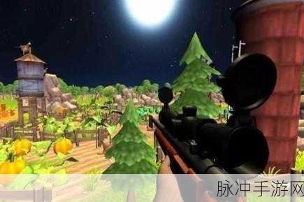 害虫射击手，畅享休闲射击新体验的游戏攻略